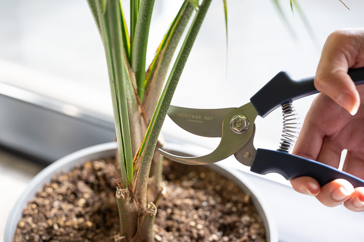 Heritage Cutlery 8BP 8'' By-Pass Prunner