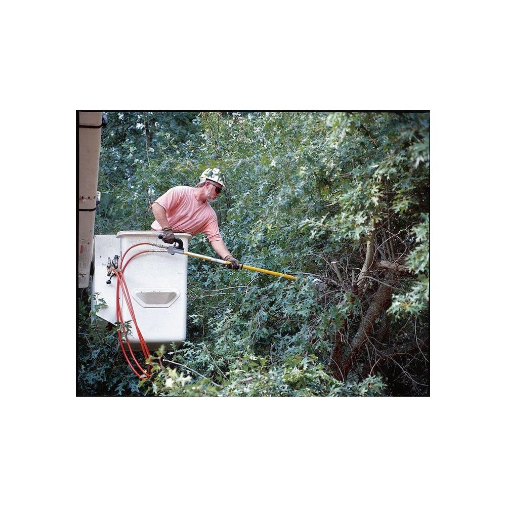 Greenlee 43178 Chainsaw, Long Reach (62")