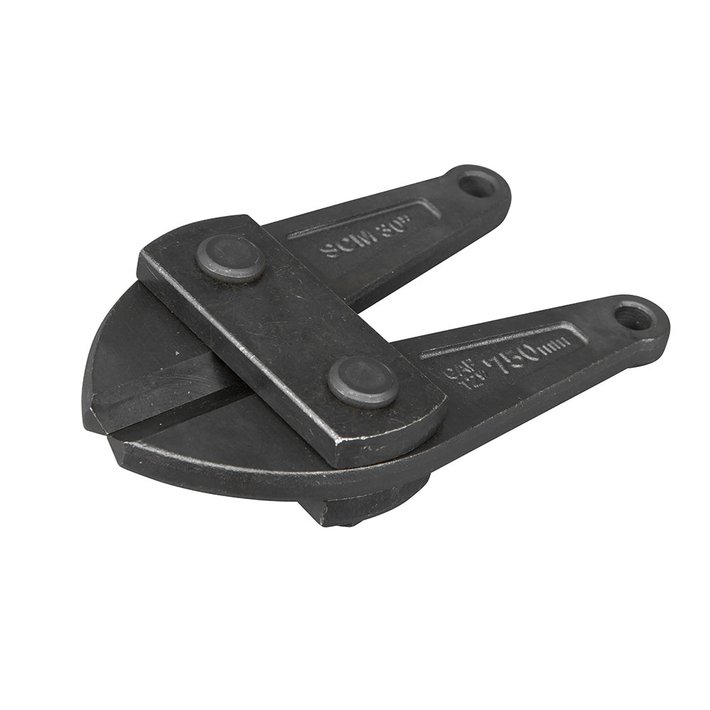 Klein Tools 63930 Replacement Head for 30-1/2-Inch Bolt Cutter