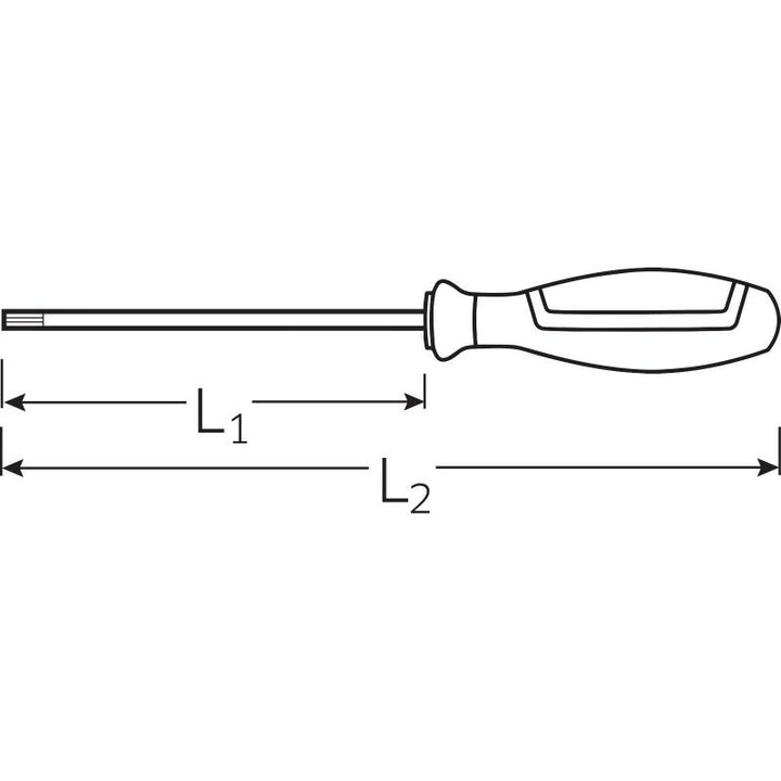 Stahlwille 46363006 4636 DRALL+ #6 x 100mm Torq-Set Screwdriver